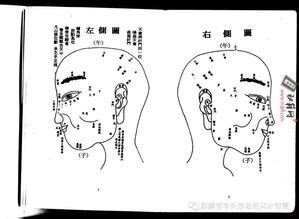 虎鼻面相|虎鼻面相人图讲解